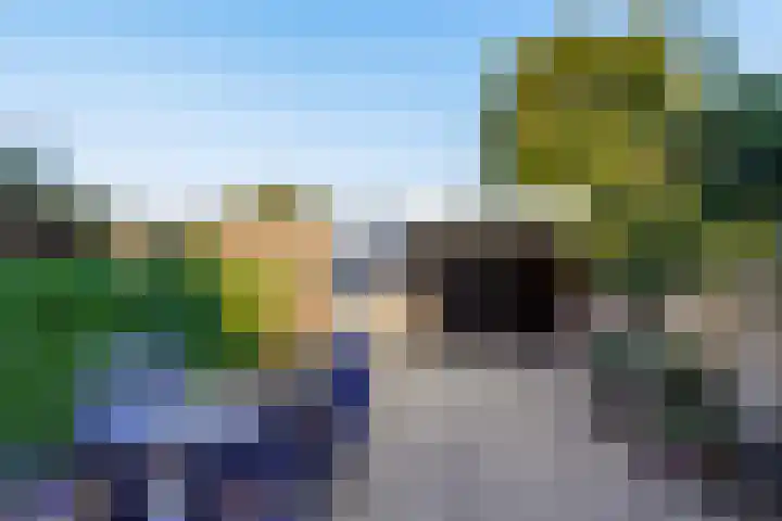 De Volder 25 Boxtel thumbnail 57