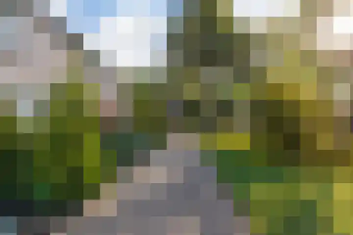 De Volder 25 Boxtel thumbnail 6