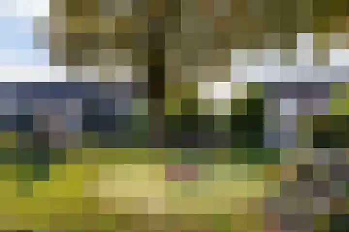 De Volder 25 Boxtel thumbnail 64