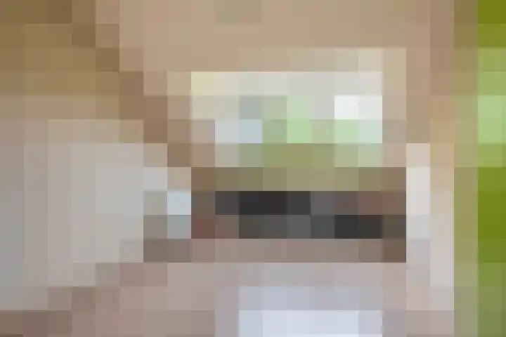 De Volder 55 Boxtel thumbnail 19