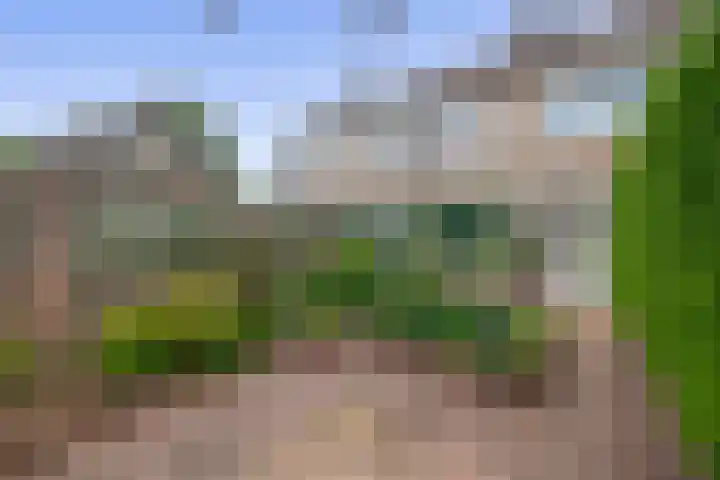 De Volder 55 Boxtel thumbnail 20