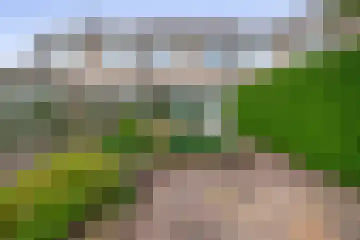 De Volder 55 Boxtel thumbnail 22