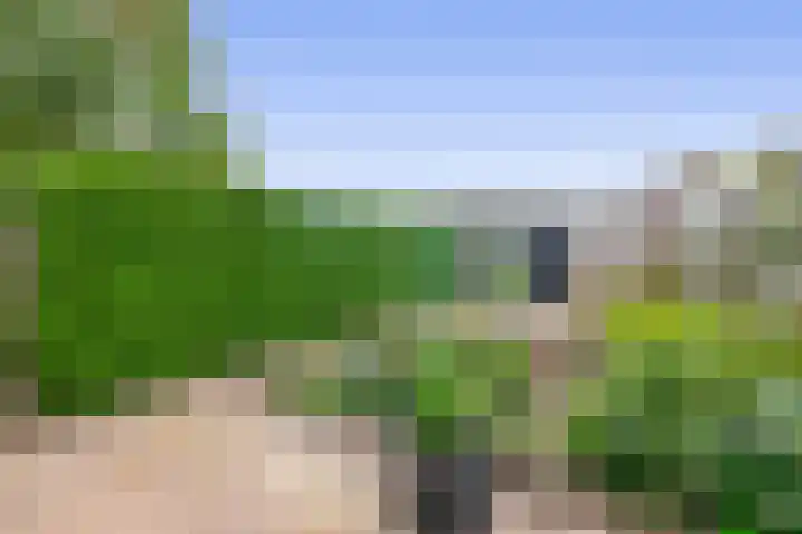 De Volder 55 Boxtel thumbnail 23