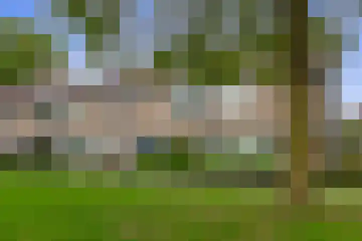 De Volder 55 Boxtel thumbnail 27