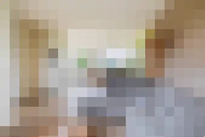 De Volder 55 Boxtel thumbnail 5