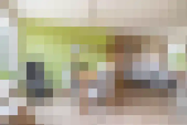 De Volder 55 Boxtel thumbnail 6
