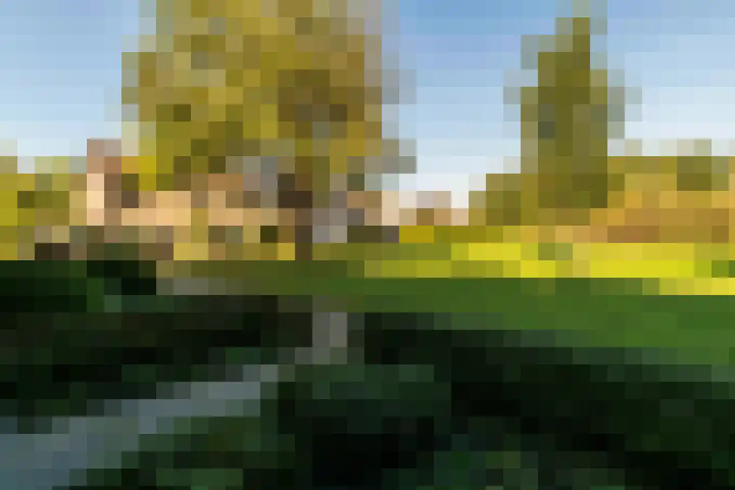 De Volder 57 Boxtel thumbnail 10