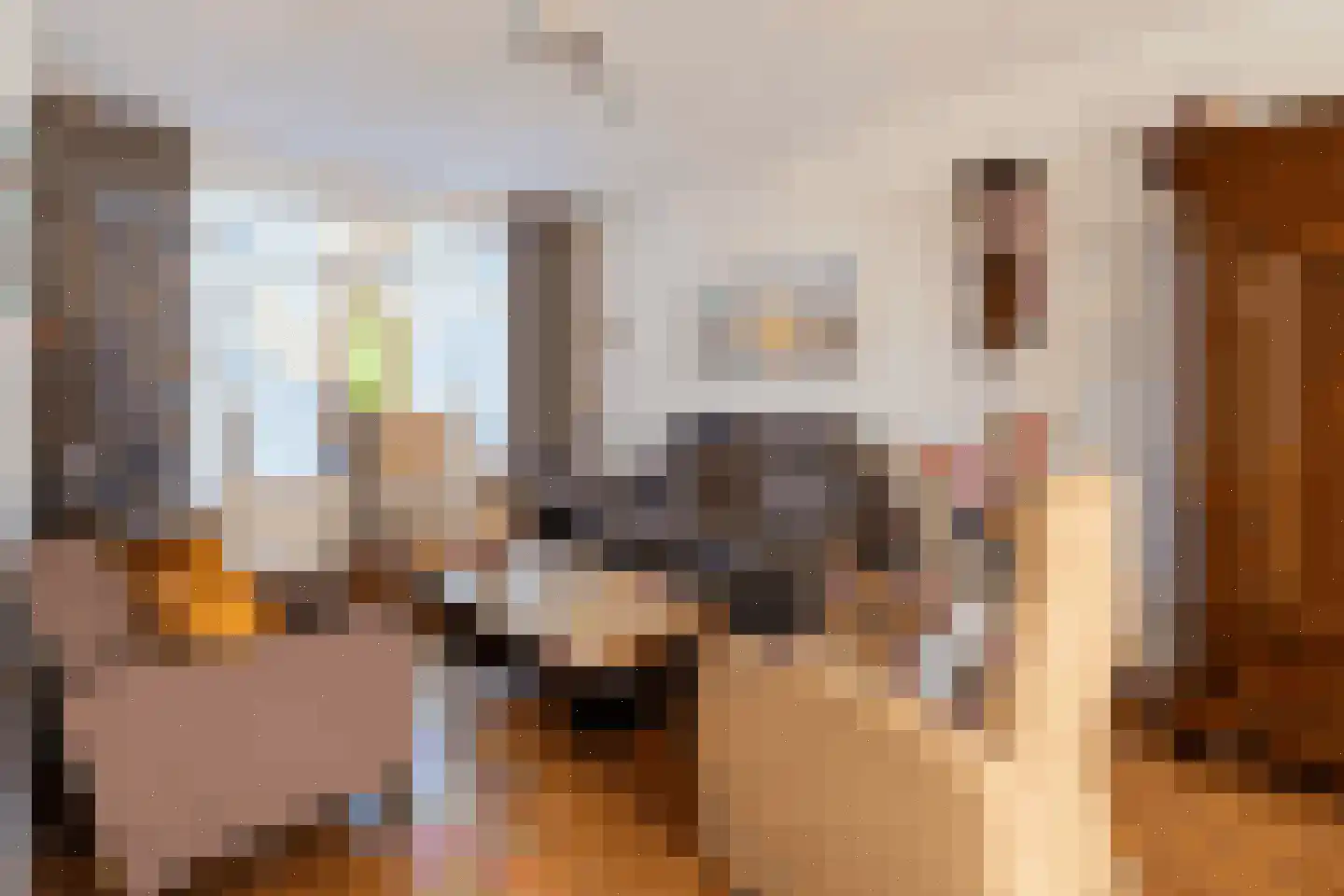 De Volder 57 Boxtel thumbnail 12