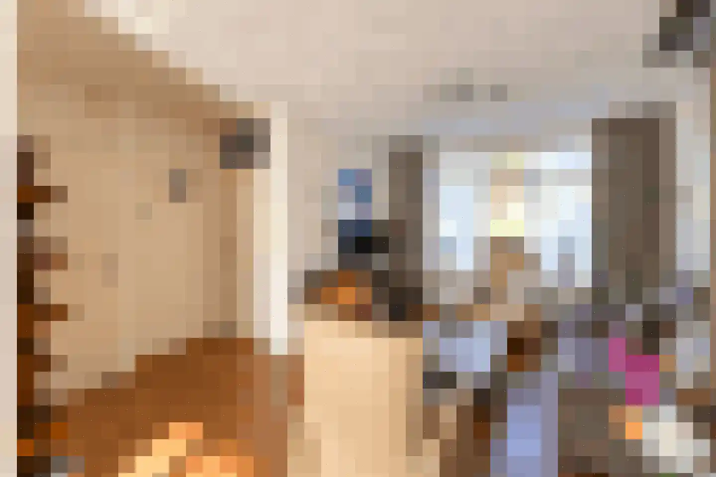De Volder 57 Boxtel thumbnail 13