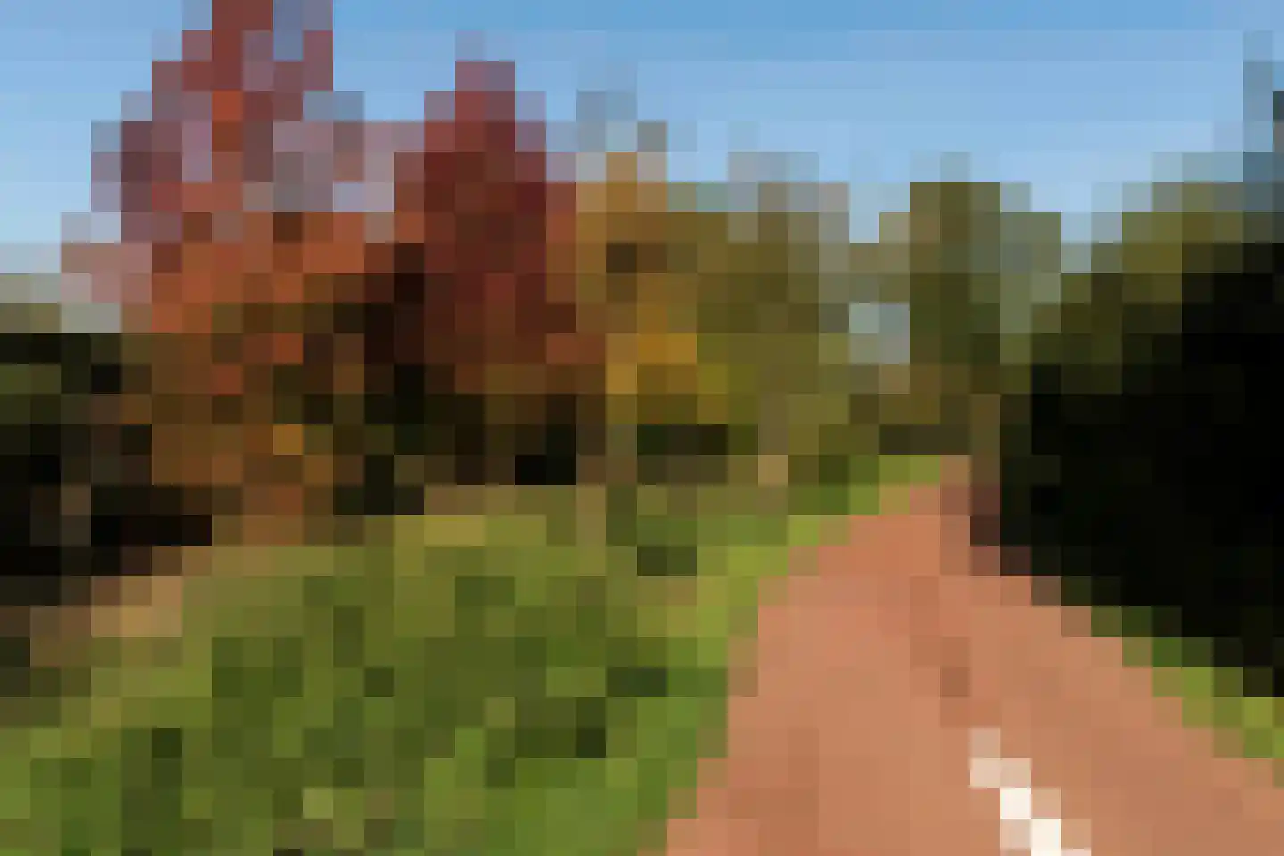 De Volder 57 Boxtel thumbnail 45