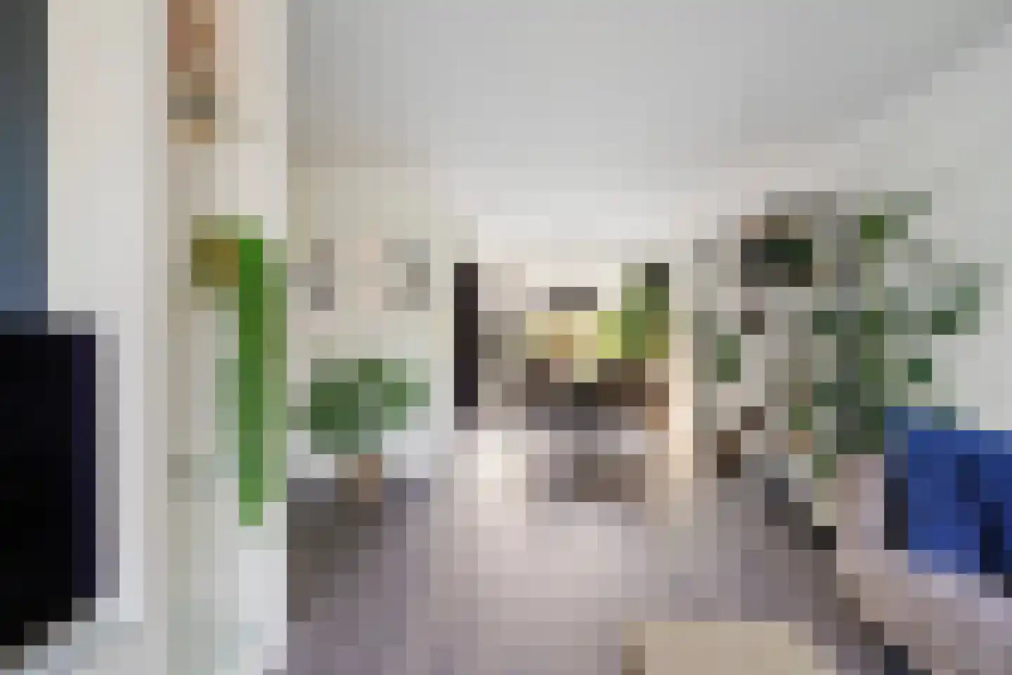 De Volder 59 Boxtel thumbnail 12