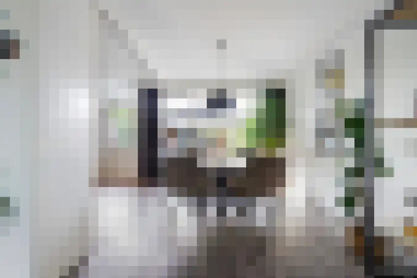 De Volder 59 Boxtel thumbnail 15
