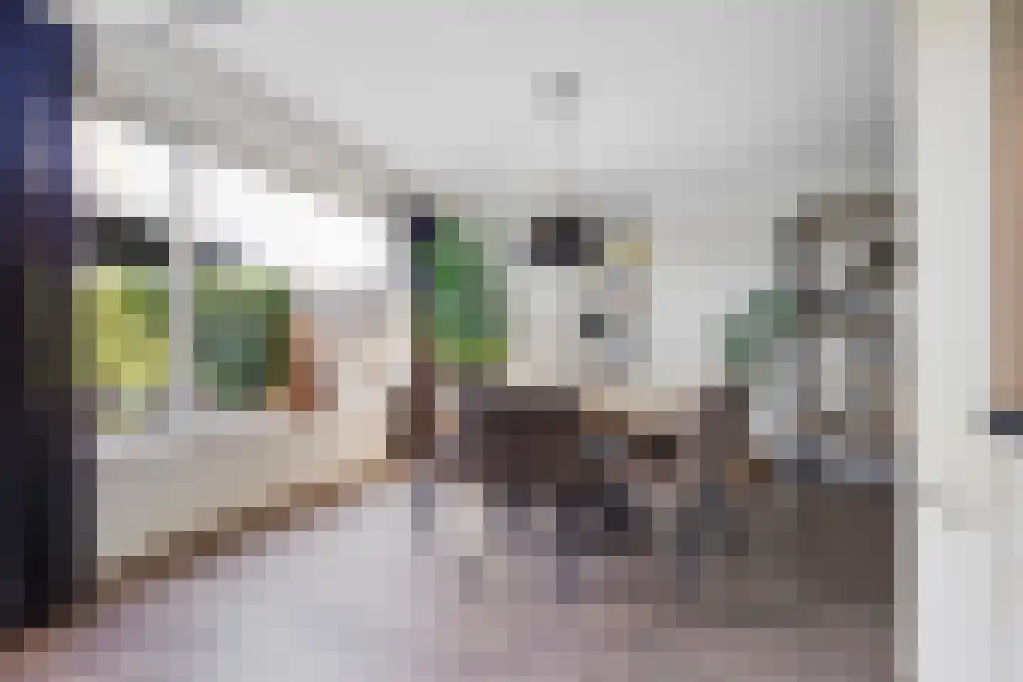 De Volder 59 Boxtel thumbnail 20