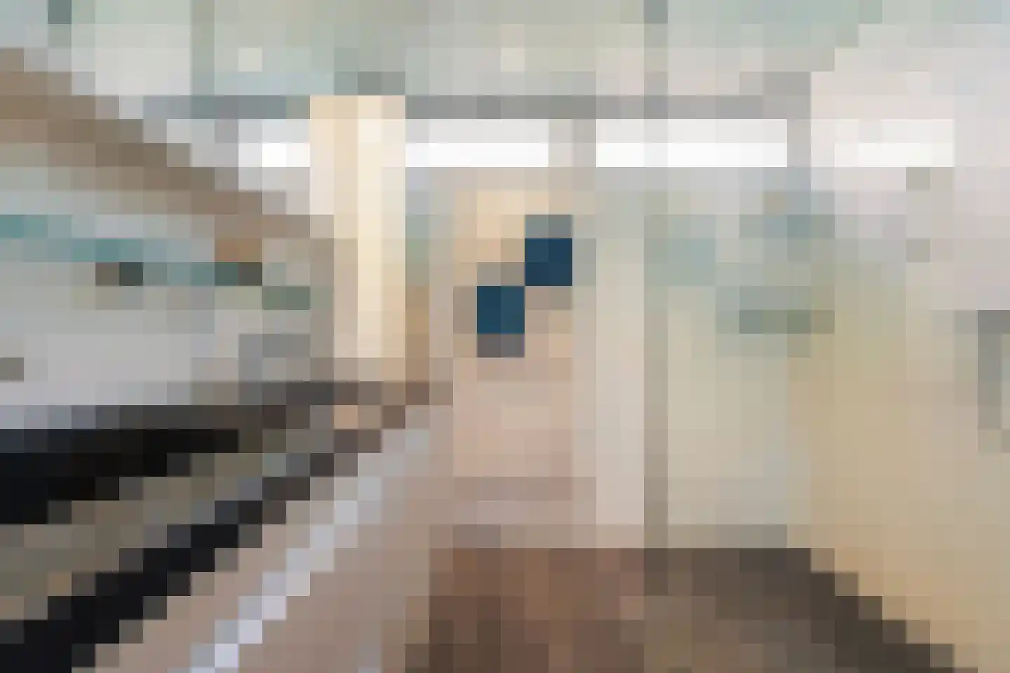 De Volder 59 Boxtel thumbnail 32