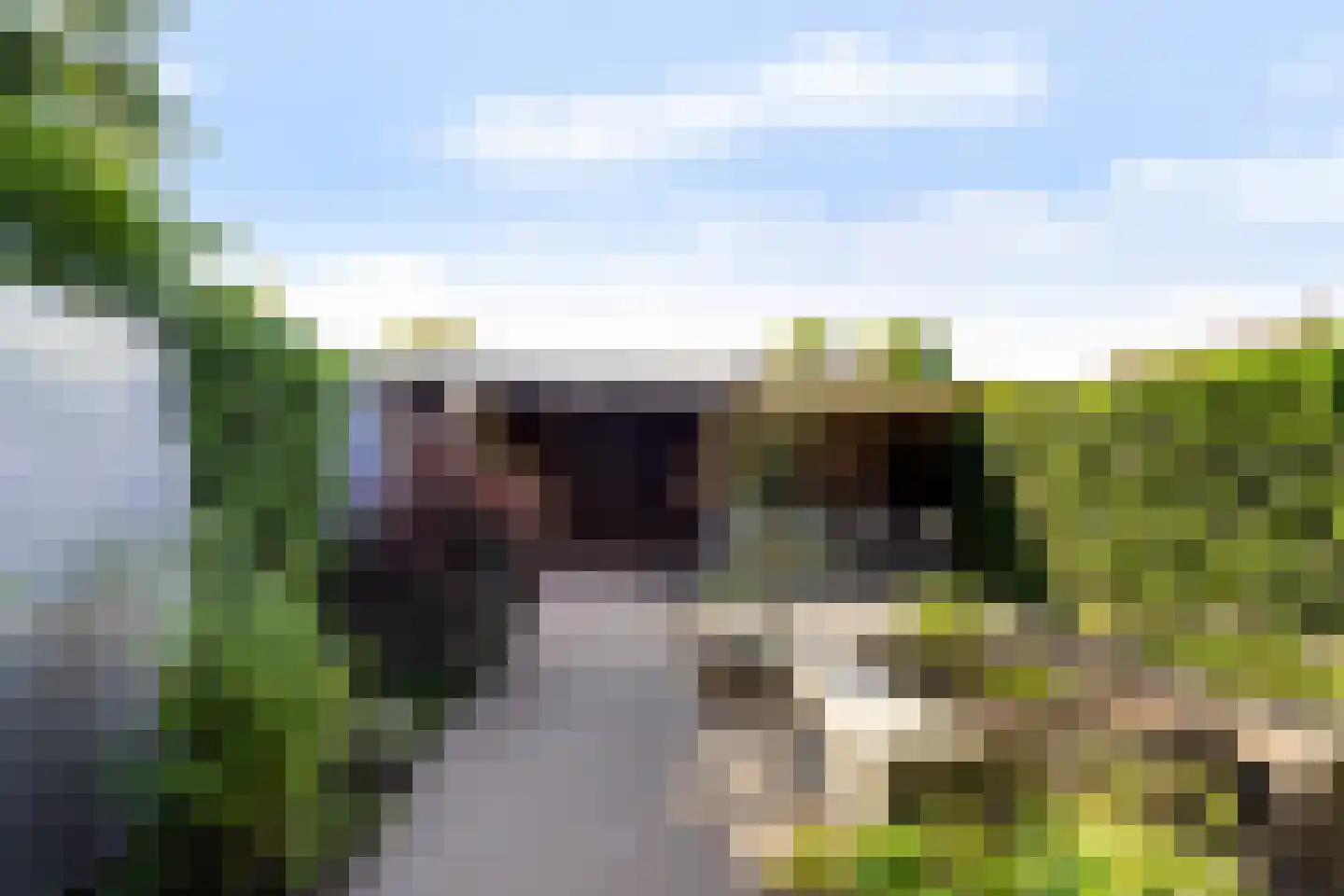 De Volder 59 Boxtel thumbnail 43