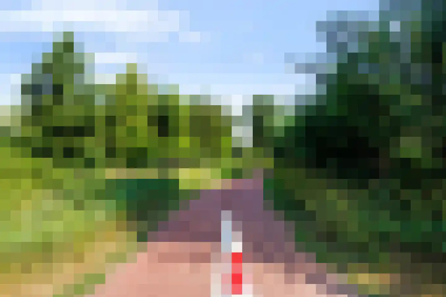 De Volder 59 Boxtel thumbnail 50