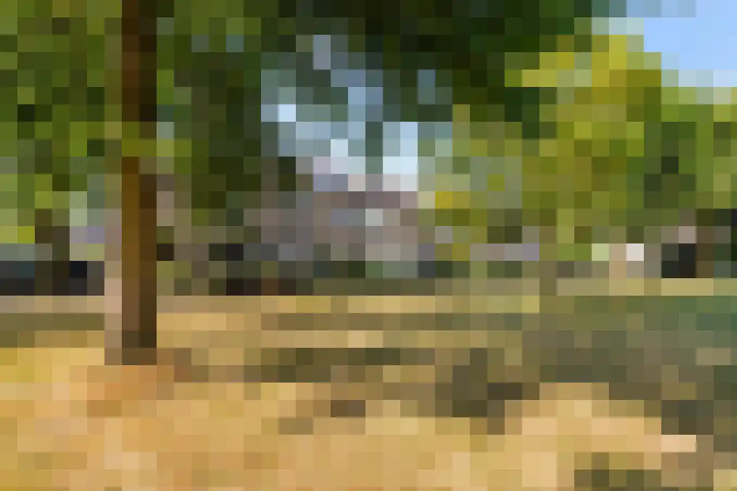 De Volder 59 Boxtel thumbnail 52