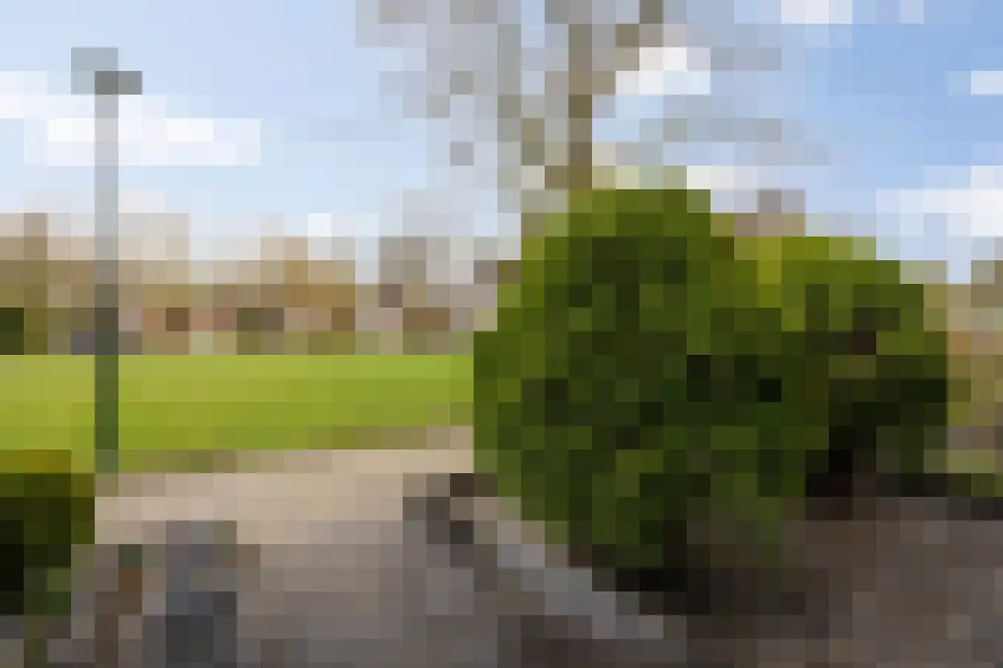 De Volder 67 Boxtel thumbnail 43