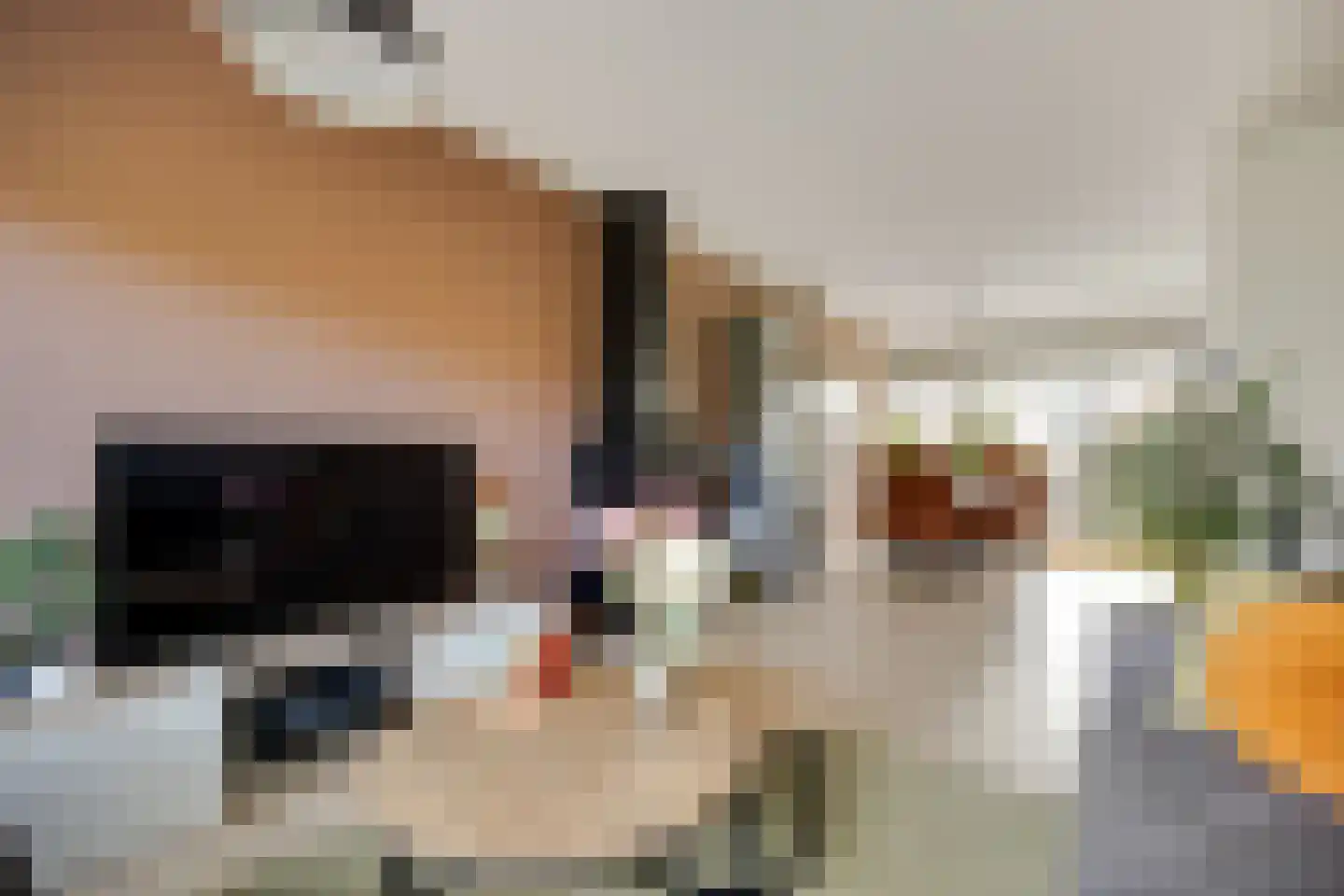 De Volder 67 Boxtel thumbnail 8