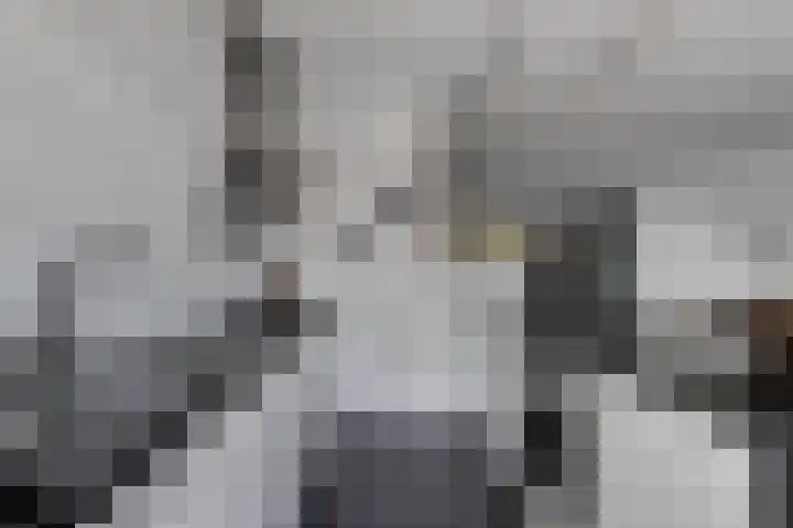 De Volder 71 Boxtel thumbnail 13