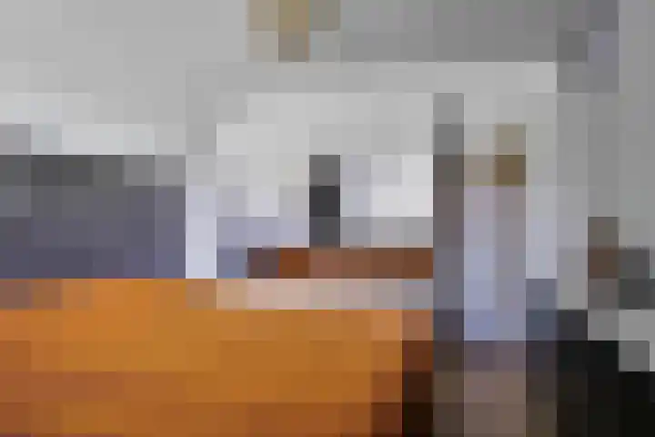 De Volder 71 Boxtel thumbnail 19