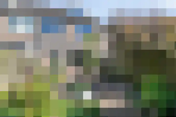 De Volder 71 Boxtel thumbnail 28