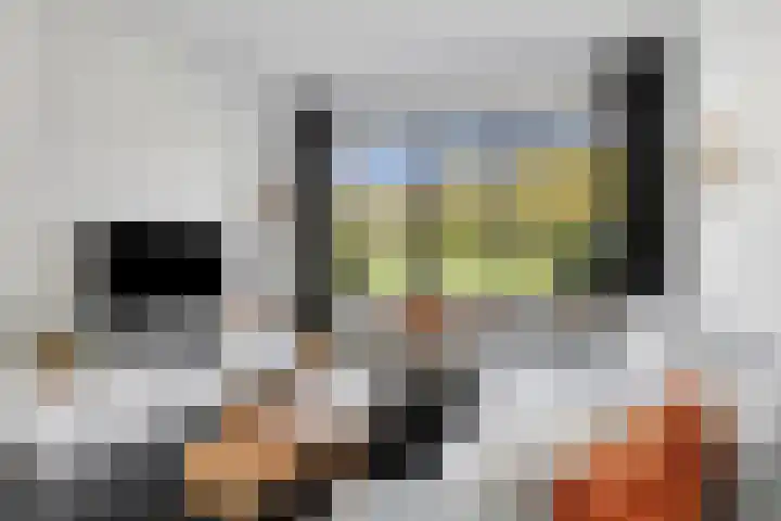 De Volder 71 Boxtel thumbnail 9
