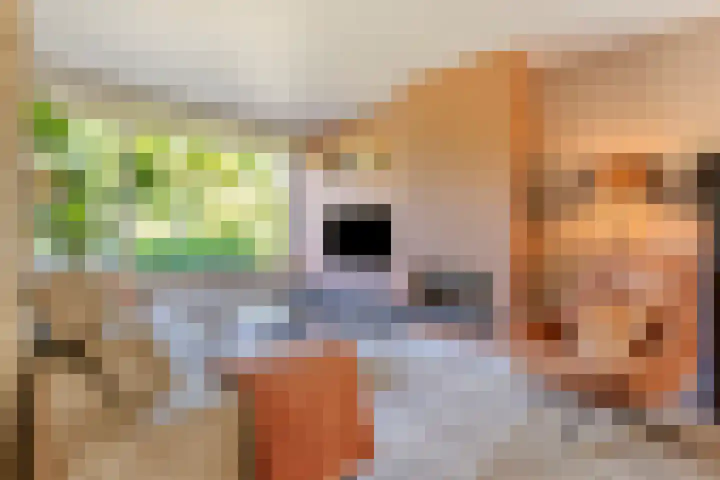 De Volder 83 Boxtel thumbnail 12