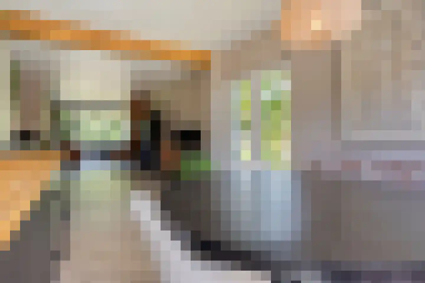 De Volder 83 Boxtel thumbnail 22