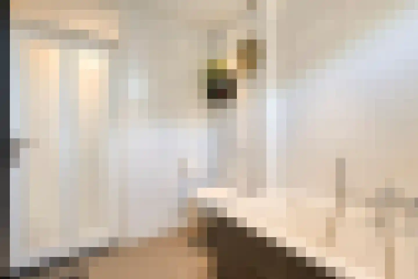 De Volder 83 Boxtel thumbnail 42