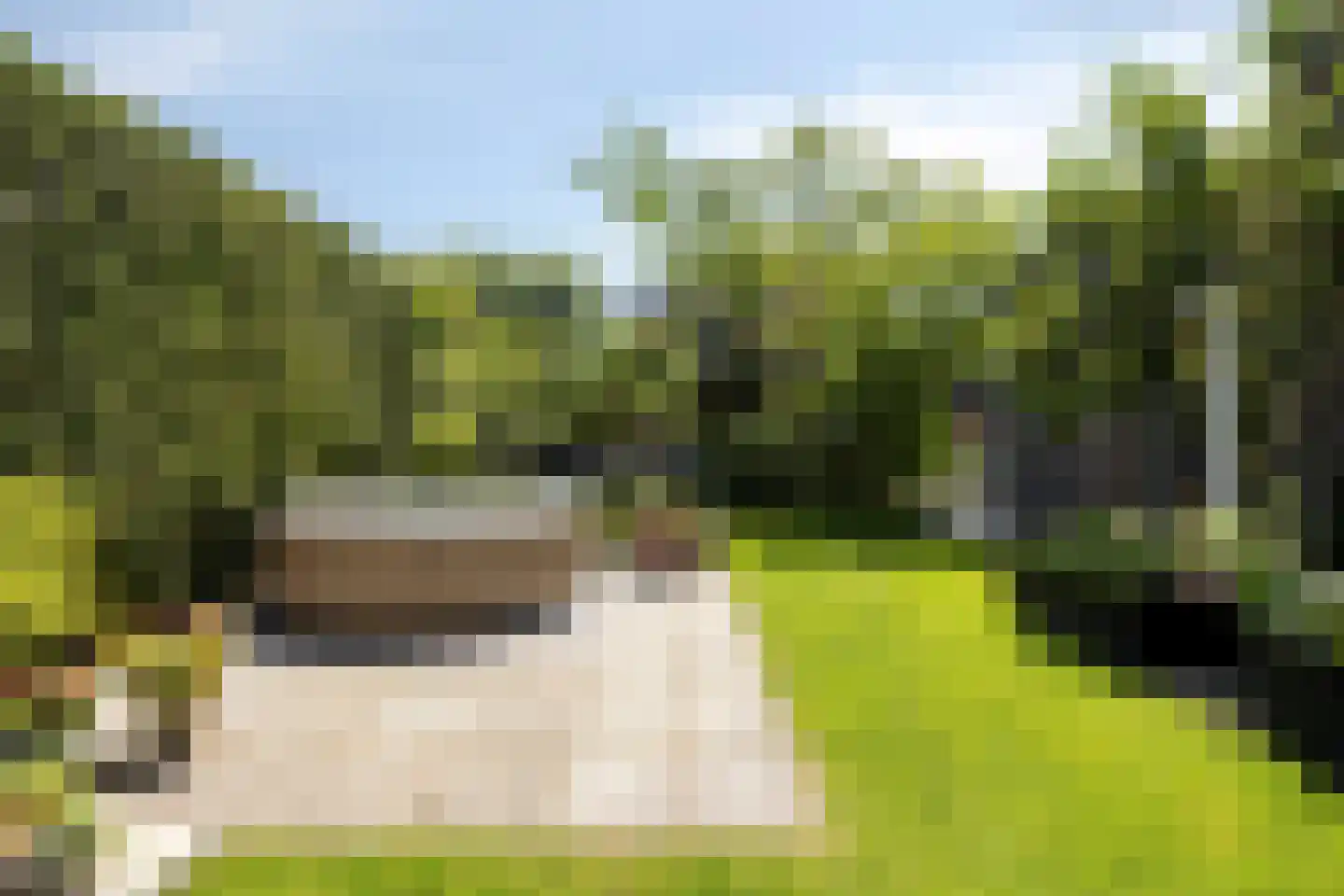 De Volder 83 Boxtel thumbnail 52