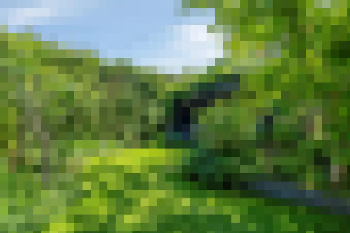 De Volder 83 Boxtel thumbnail 53