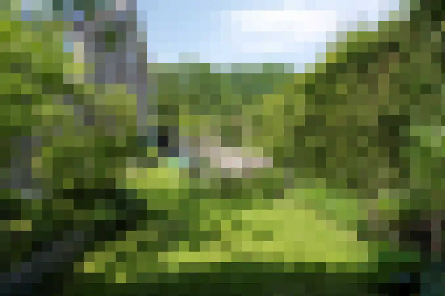 De Volder 83 Boxtel thumbnail 56