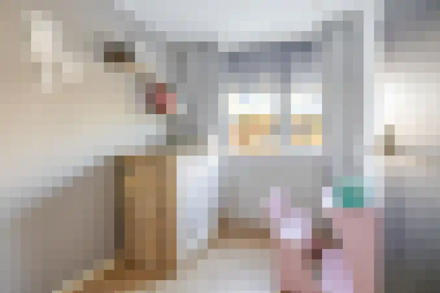 De Volharding 19 Gorredijk thumbnail 12