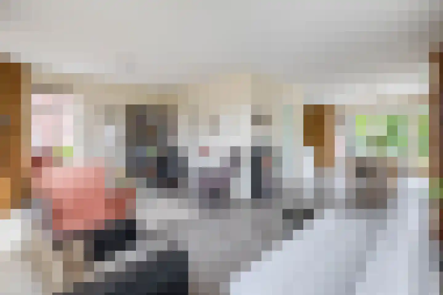 De Volharding 3 Balk thumbnail 11