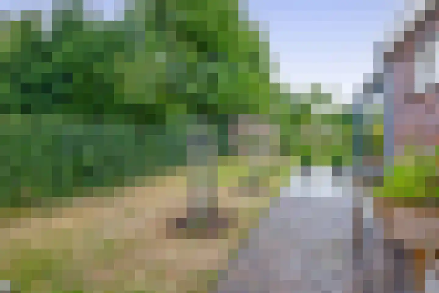 De Volharding 3 Balk thumbnail 28