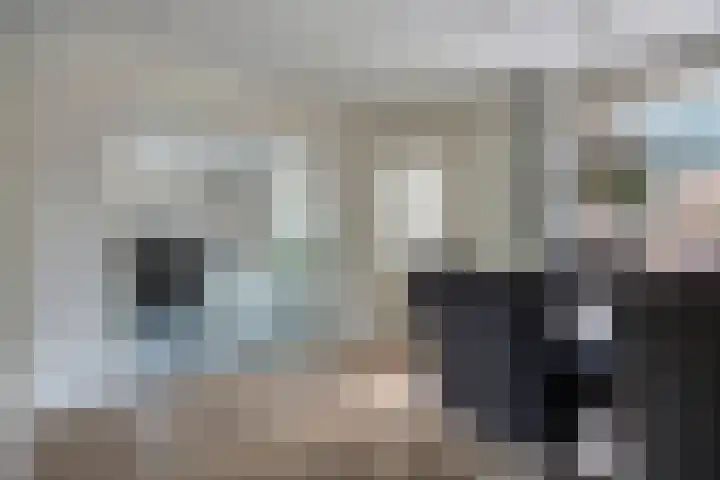 De Volmer 1 Haaksbergen thumbnail 11