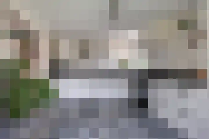 De Volmer 1 Haaksbergen thumbnail 12