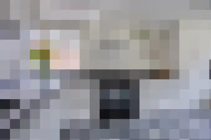 De Volmer 1 Haaksbergen thumbnail 13