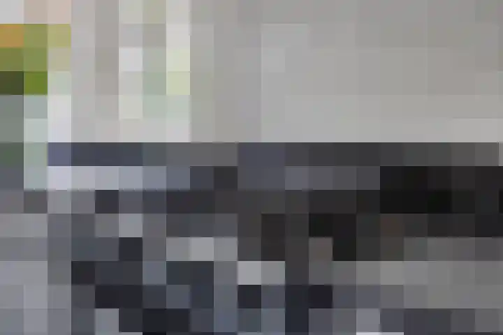 De Volmer 1 Haaksbergen thumbnail 14