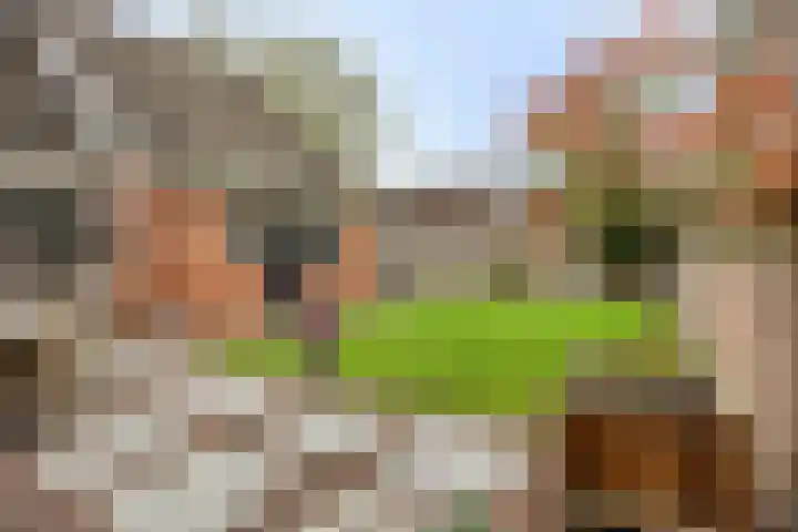 De Volmer 1 Haaksbergen thumbnail 16