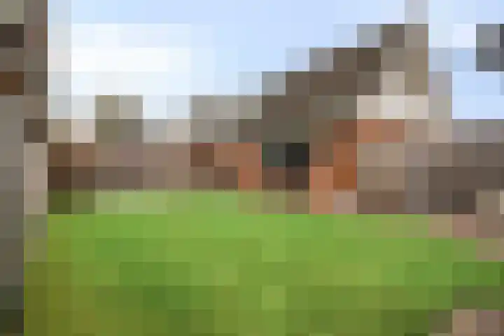 De Volmer 1 Haaksbergen thumbnail 17