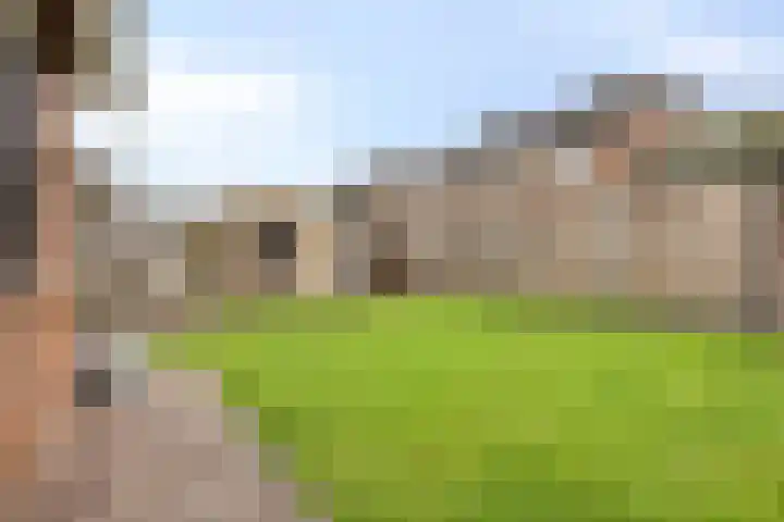 De Volmer 1 Haaksbergen thumbnail 18