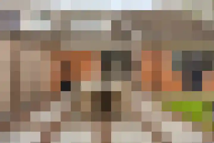 De Volmer 1 Haaksbergen thumbnail 20