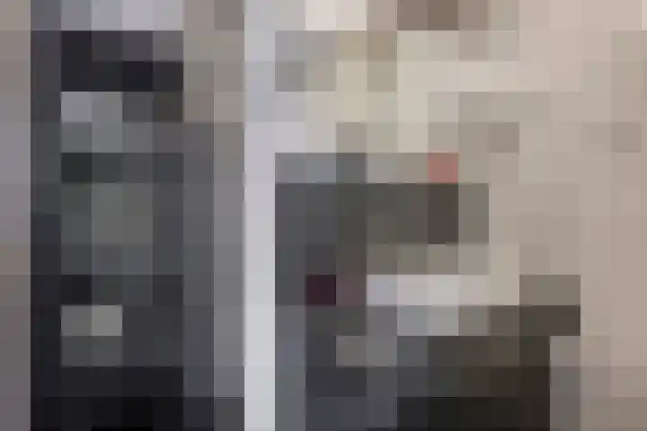 De Volmer 1 Haaksbergen thumbnail 21
