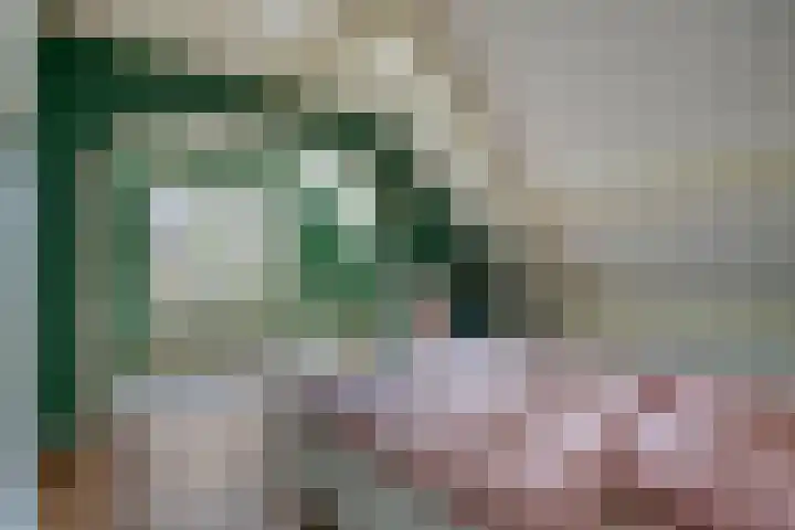 De Volmer 1 Haaksbergen thumbnail 24