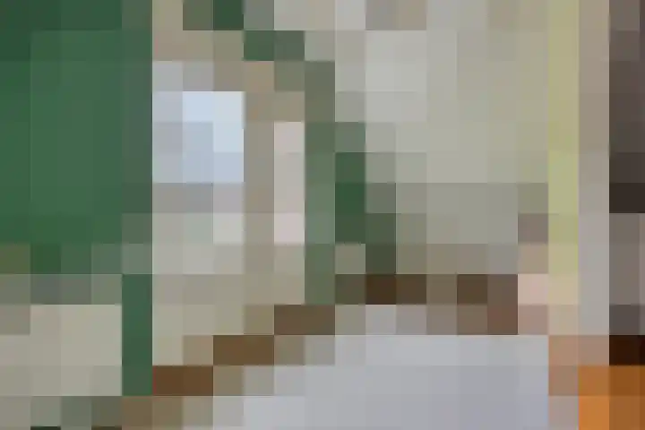 De Volmer 1 Haaksbergen thumbnail 26