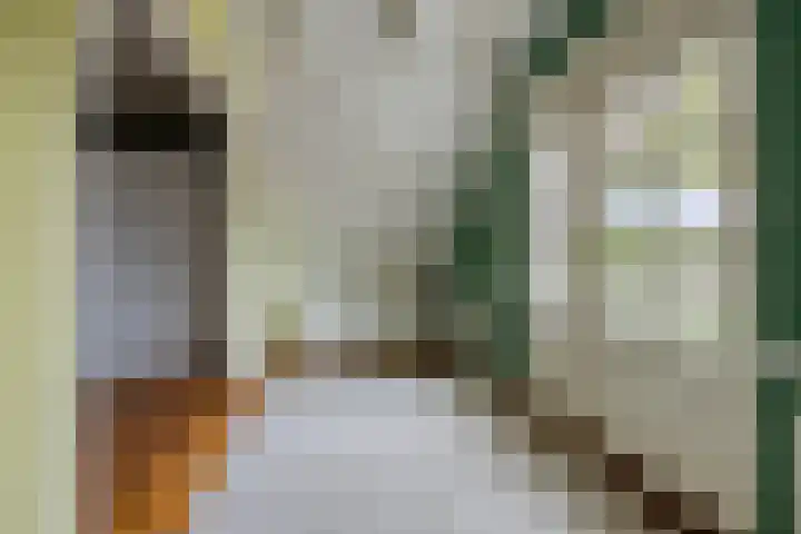De Volmer 1 Haaksbergen thumbnail 27