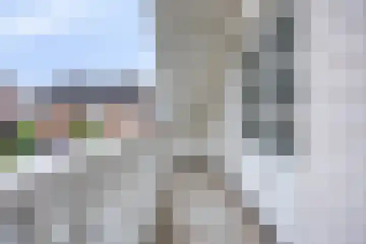 De Volmer 1 Haaksbergen thumbnail 29
