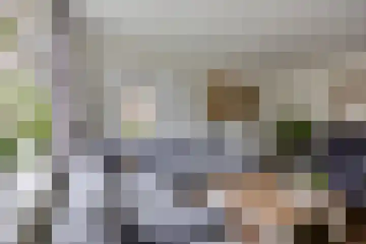 De Volmer 1 Haaksbergen thumbnail 4